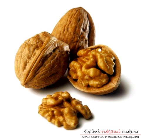 How to make a creation from a simple shell and walnuts. Photo №1