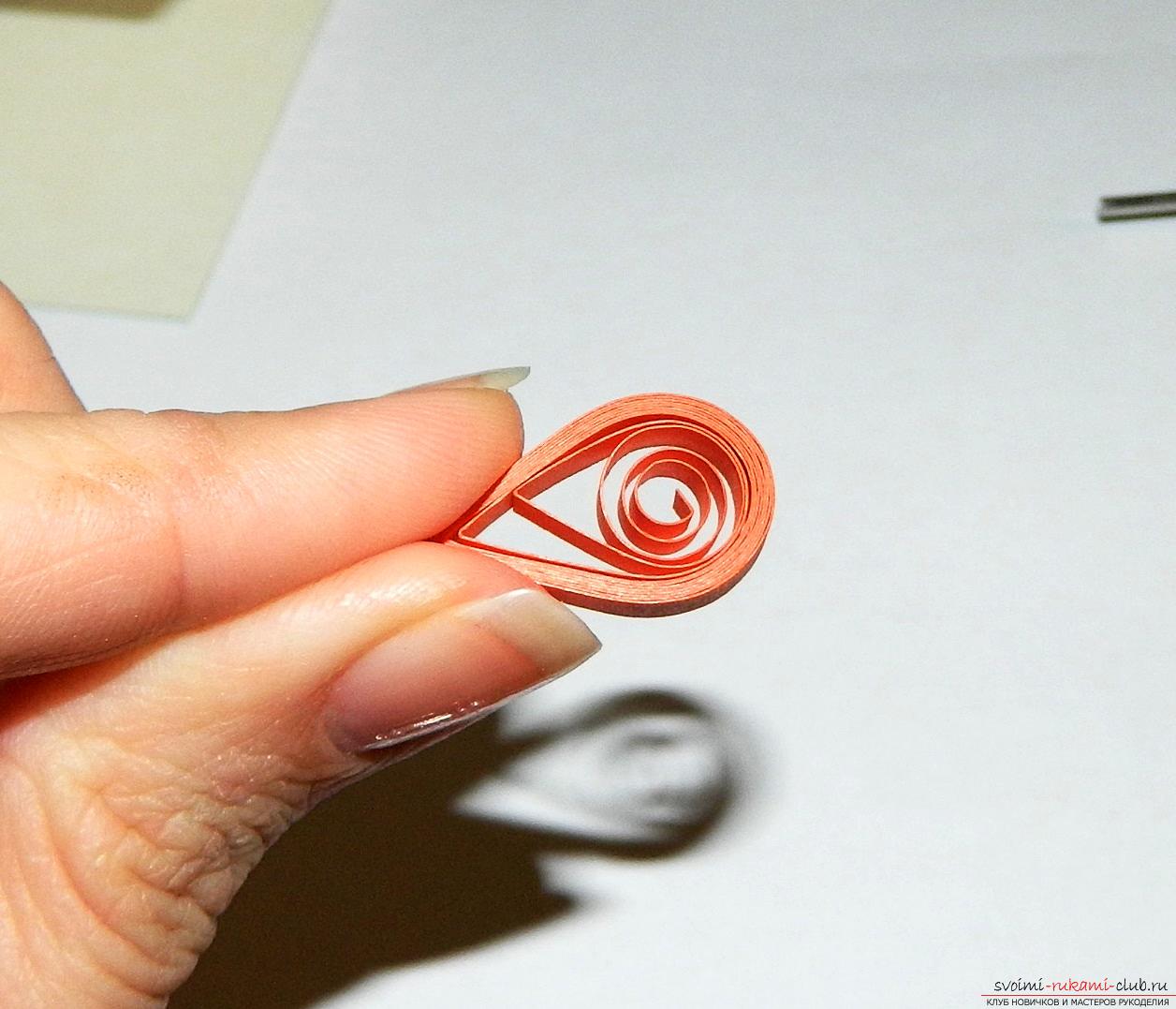 This master class will teach you how to make beautiful quilling cards with your hands .. Photo # 9