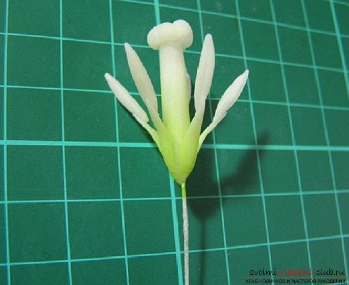 Polymer clay and a master class for creating flowers from it .. Photo # 16