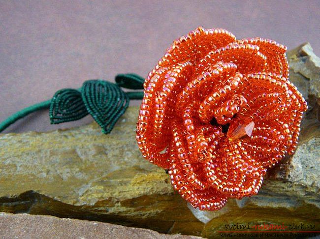 The scheme of a rose in a mosaic for beading. Beadwork lesson is free .. Picture №1