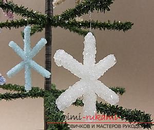 Crystals at home, how to grow a crystal, a master class on growing snowflakes from crystals of borax, advice and recommendations for work .. Photo # 1