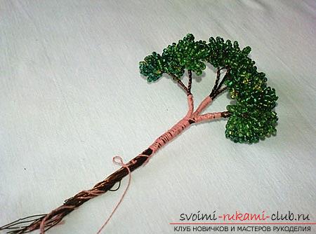 Hoe maak je een bonsai van kralen met je eigen handen met turn-based foto's. Foto №7