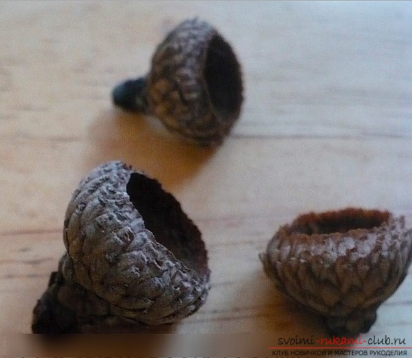How to make a hedgehog out of cones. A lesson with my own hands. Photo-materials and instruction .. Photo # 2