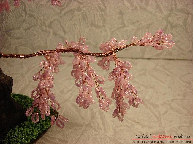 How to weave sakura from beads, detailed master classes with step-by-step photo and description .. Photo # 22