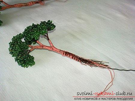 Hoe maak je een bonsai van kralen met je eigen handen met turn-based foto's. Foto №8