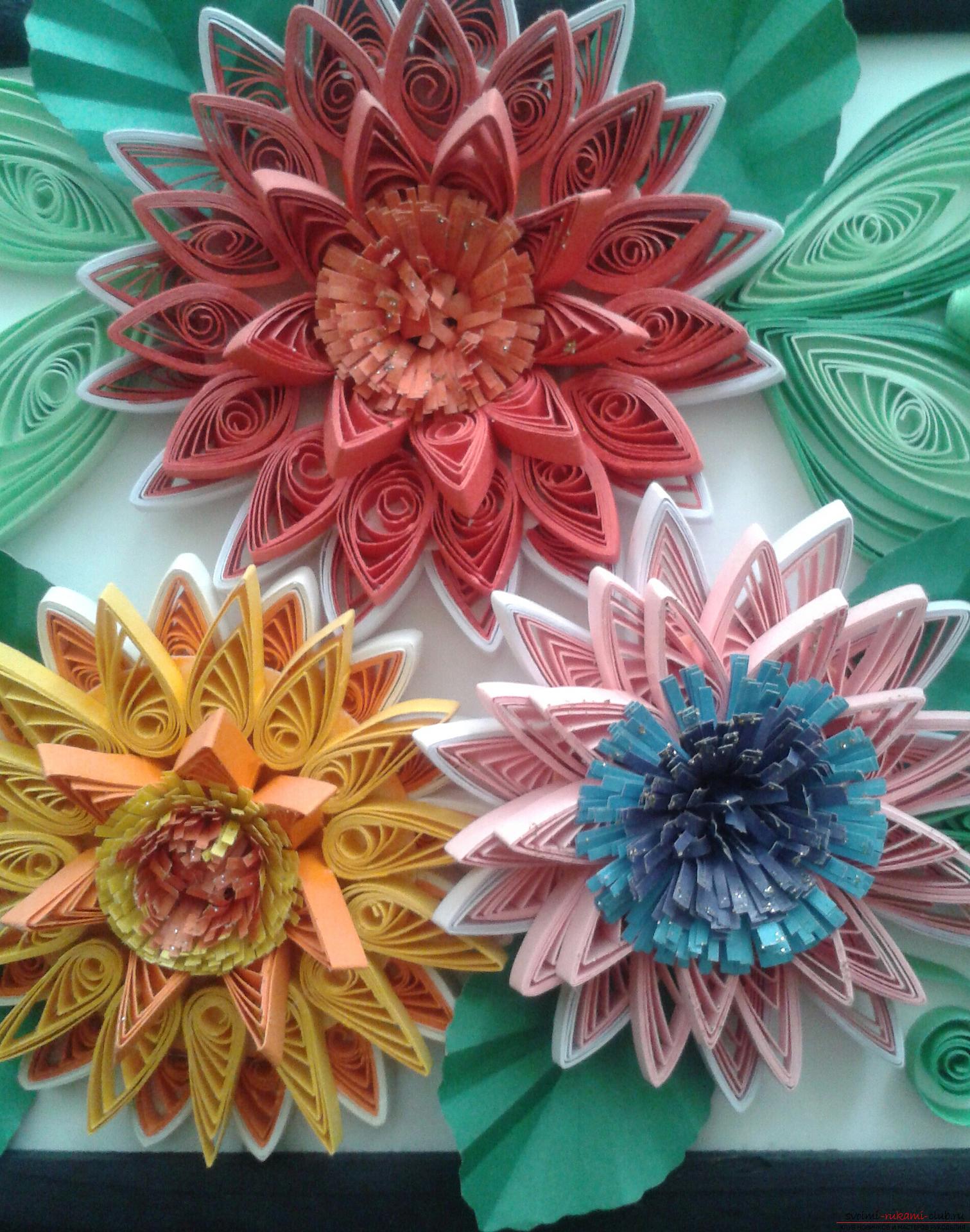 Denne detaljerede mesterklasse introducerer quilling teknikker, lærer dig hvordan man laver quilling blomster og quillings. Foto # 11