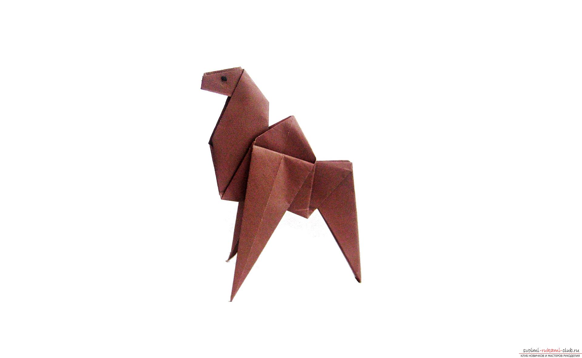 A simple model of a camel origami. Photo №4