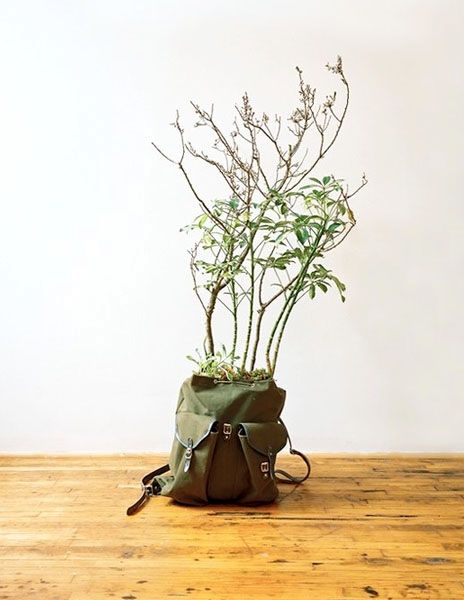 a flowerpot from a backpack