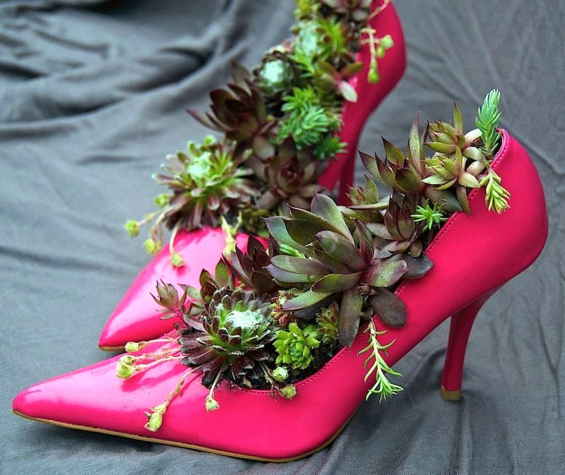 flower pots from shoes