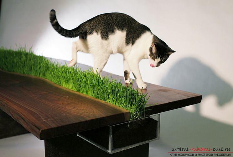 Eco-design in the interior, pieces of furniture with a natural green lawn, a table with a grassy coating .. Picture №3