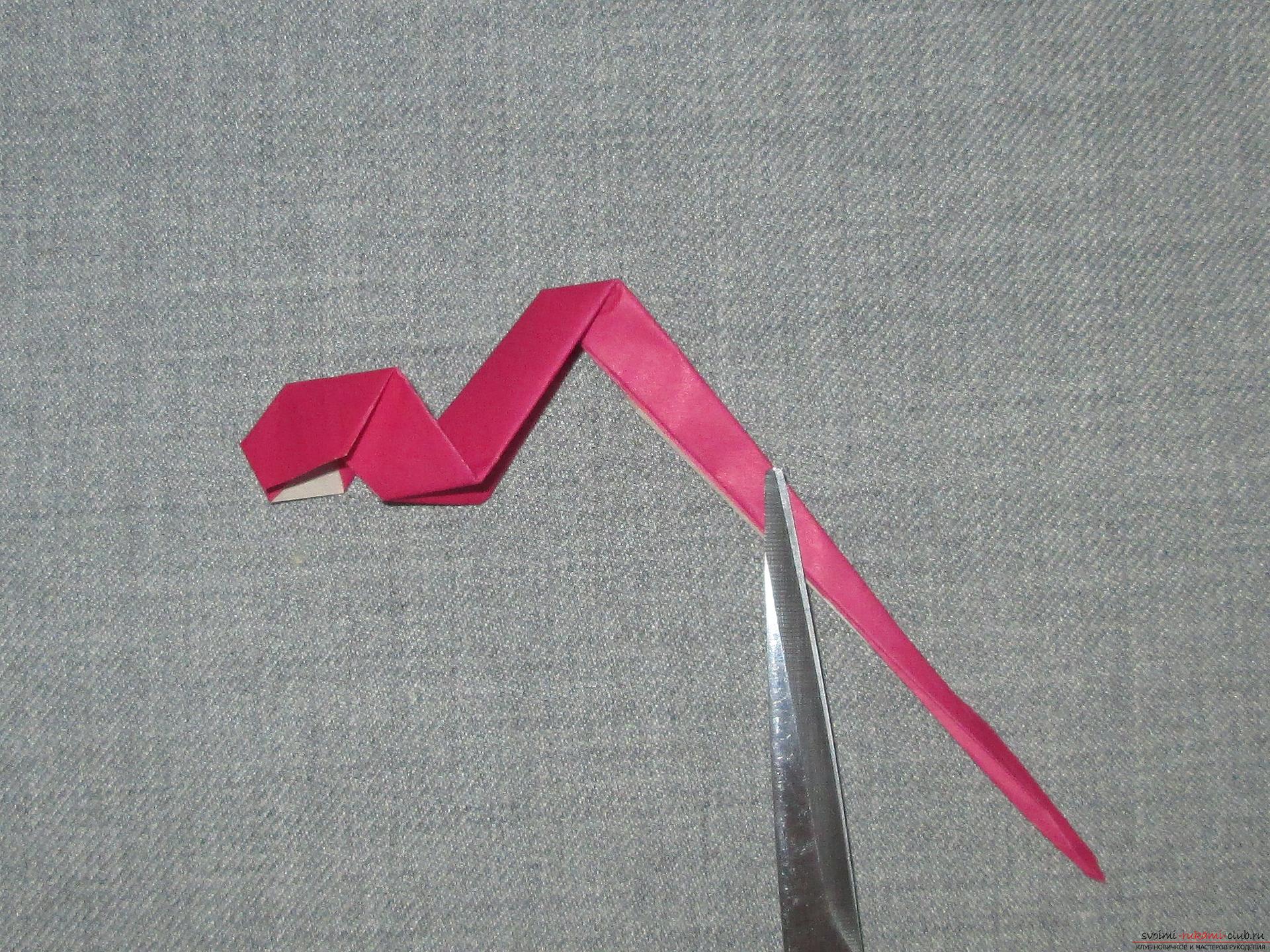 Deze gedetailleerde masterclass origami voor kinderen van 8 jaar leert hoe je een origami slang van papier maakt .. Foto # 12