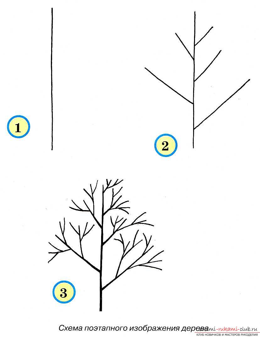 Drawing a tree in stages for beginners. Photo №1