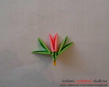 Origami-pauw eigen handen: een schema en beschrijving. Foto №4