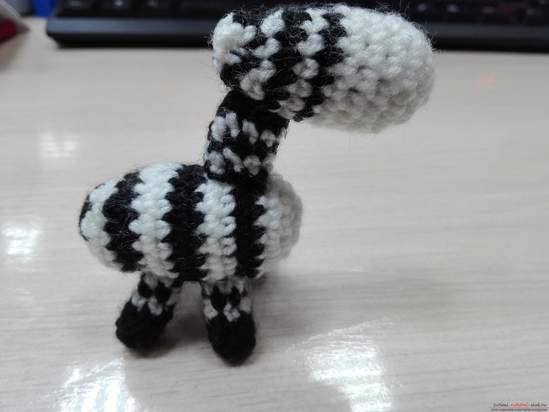 This master class toy itself teach how to tie a zebra crochet. Photo №27