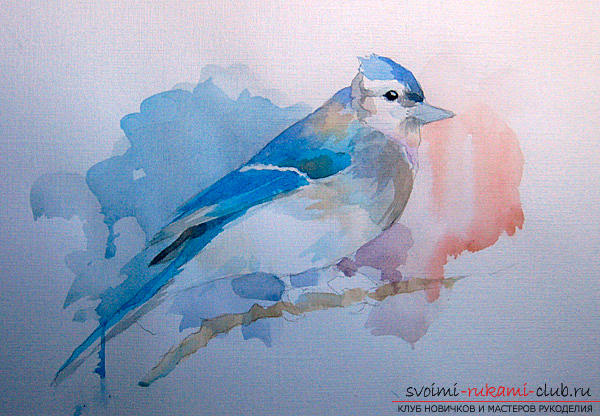 Drawing a watercolor bird. Picture №3