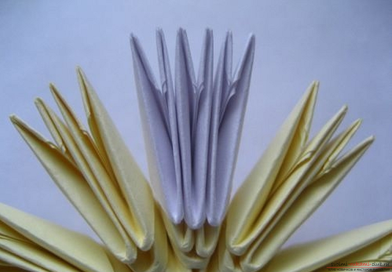 modular origami chamomile. Photo number 20