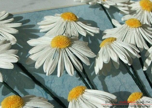 Camomile quilling with your own hands. Photo №4