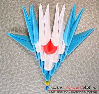 Hoe maak je een pauw in de techniek van modulaire origami, stap-voor-stap foto's en gedetailleerde werkbeschrijving, kleuroplossingen bij het uitvoeren van pauwenveren met 