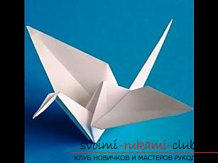 How to make a swan from paper using origami technique. Photo # 2
