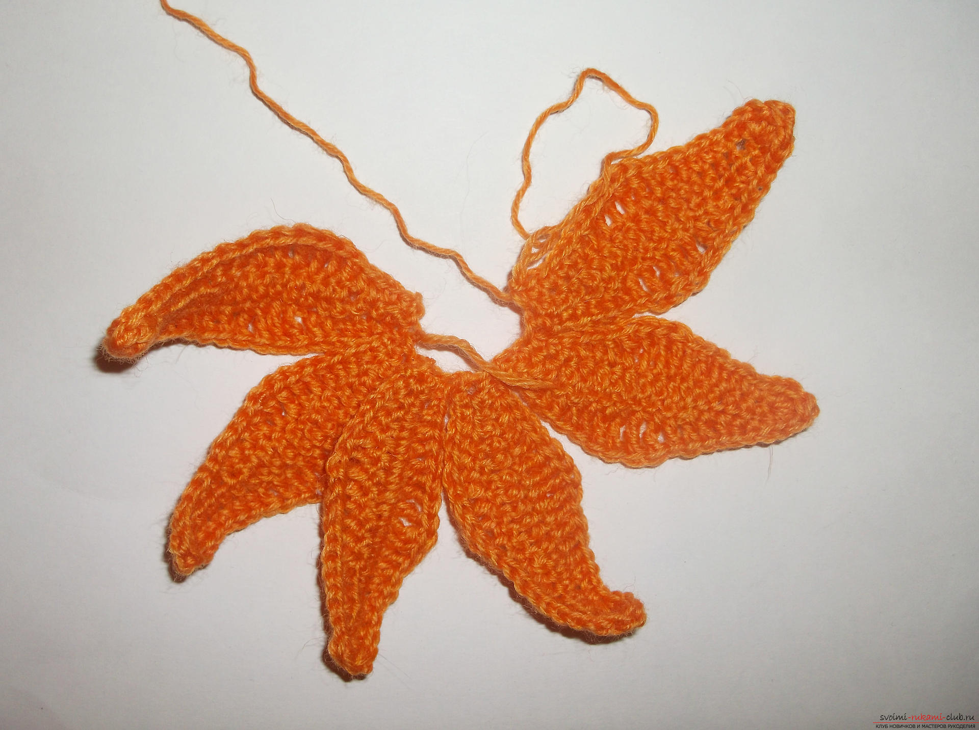 Photo to a lesson on crochet crochet lilies. Photo №6