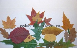 Children's applications from autumn leaves