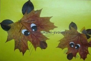 Children's applications from autumn leaves