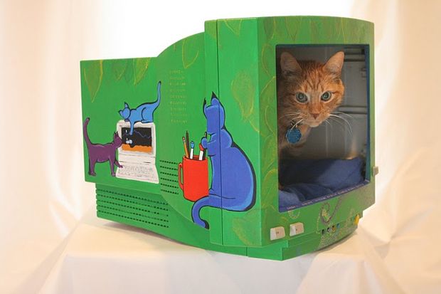 Kočičí chaty od starých monitorů