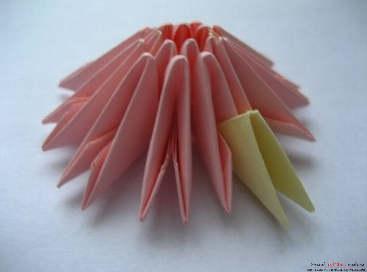 modular origami chamomile. Photo number 15