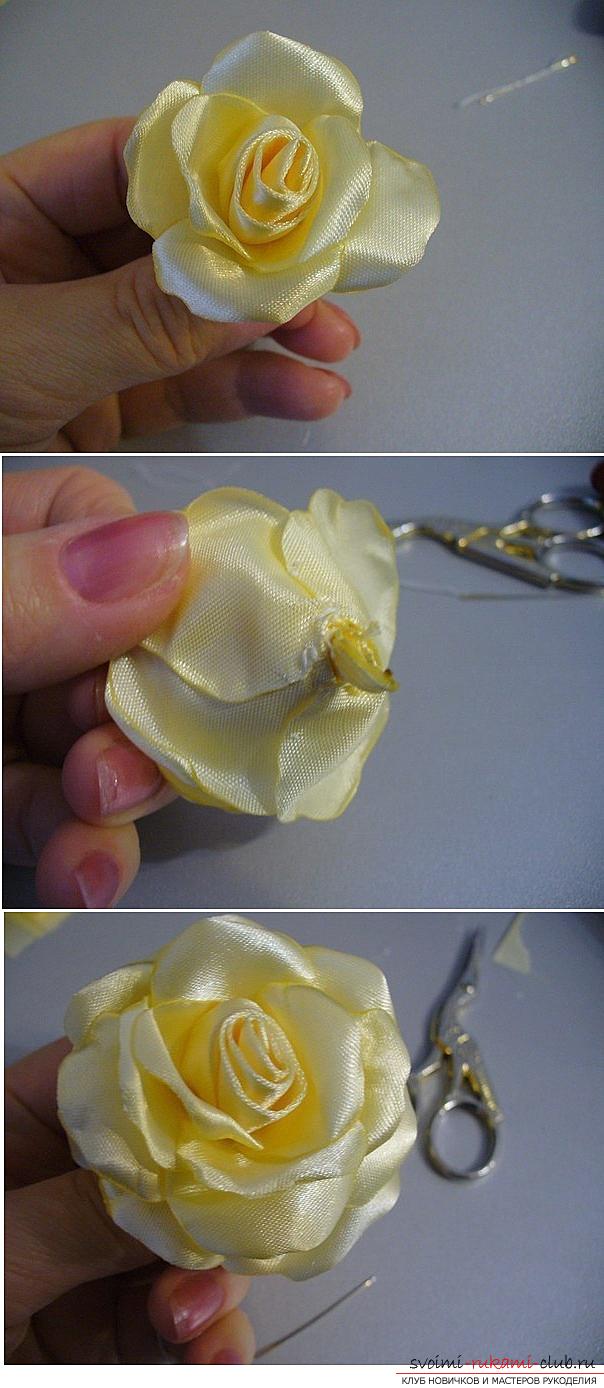 How to make roses from a ribbon with your own hands, step-by-step photos and instructions for creating a flower, seven variants of roses from a ribbon in the form of buds and blossoming flowers. Picture №30