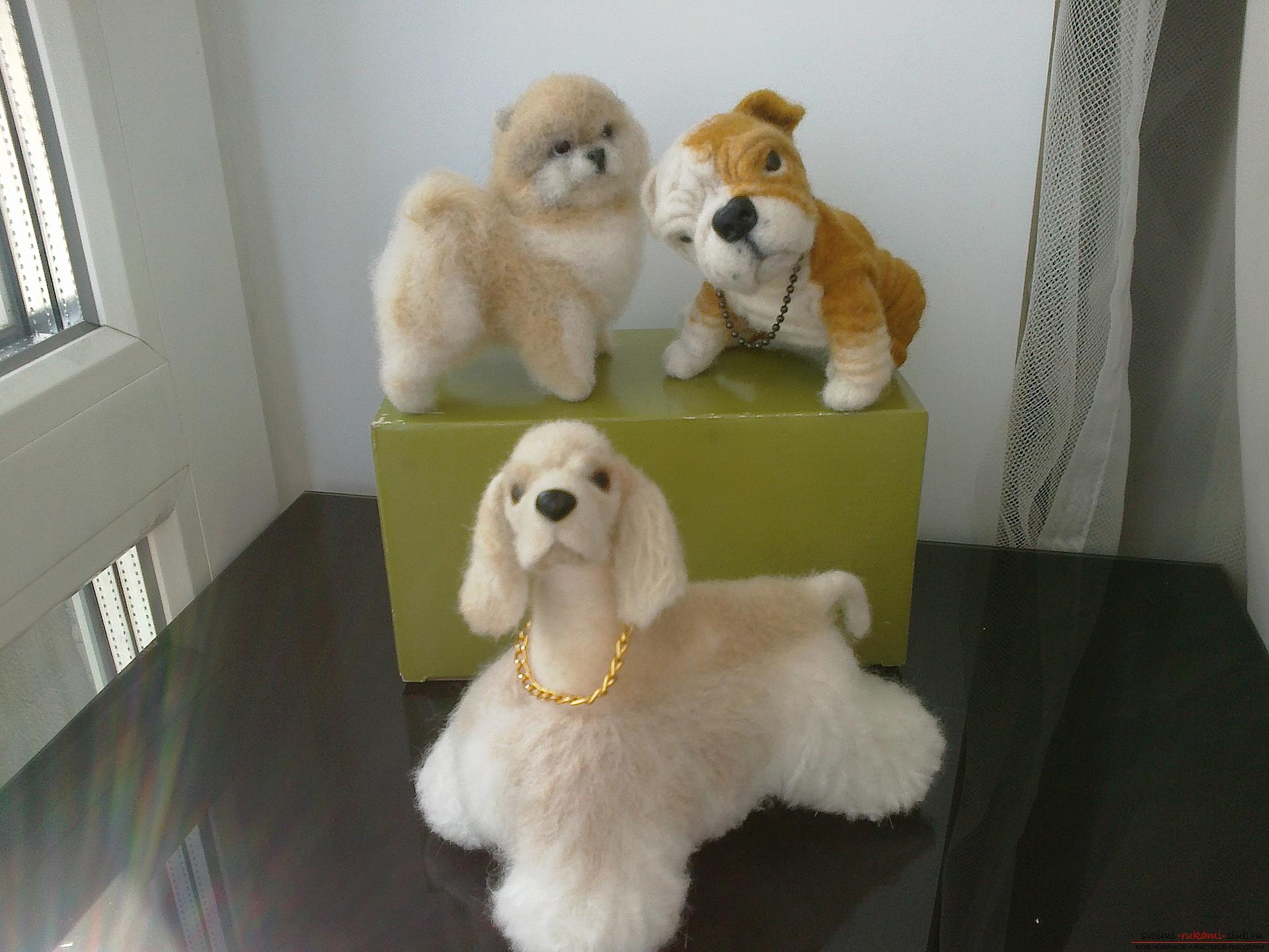 Description of toys in the form of puppies of popular breeds, made in the technique of dry felting. Photo №1
