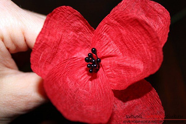 way to make paper scarlet poppies with your own hands. Picture №3