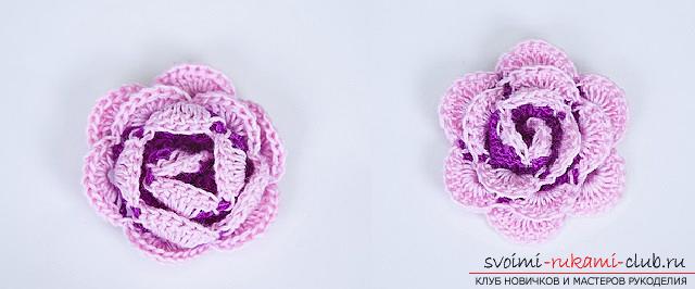 Schemes and a detailed description of how to connect a three-dimensional rose crochet with their own hands .. Photo # 5