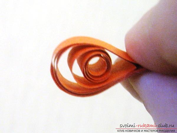 Quilling technique for beginners, basics of quilling, rules and advice for beginners, description of basic schemes, tools required for work, tips, recommendations and photos .. Photo # 25