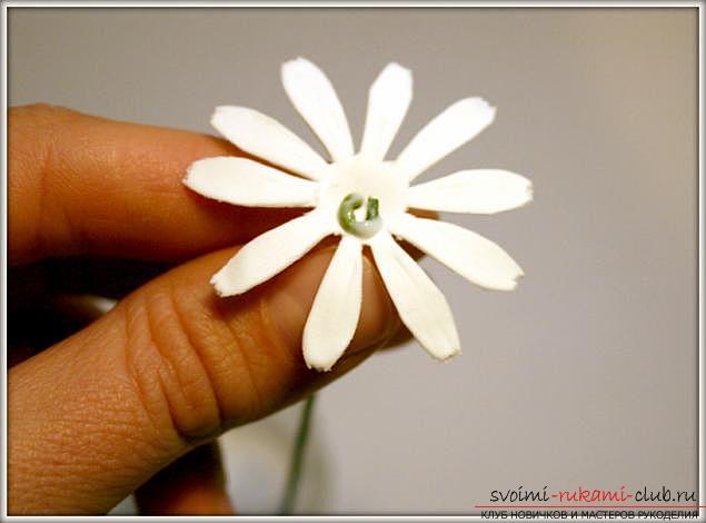 Master classes on the creation of bouquets of polymer clay with a description and photo .. Photo # 12
