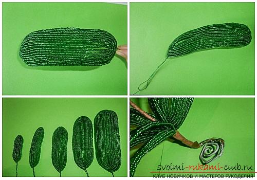 How to weave white orchid from beads, master class with photo and description .. Photo # 4