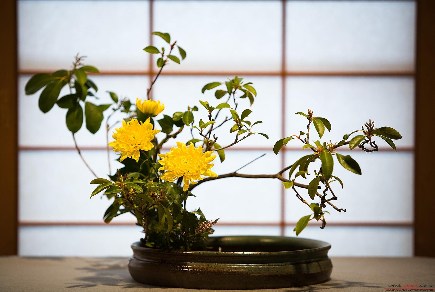 How to make a beautiful flower arrangement? - Ikebana with my own hands. Create a beautiful composition .. Photo №1