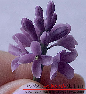 Photographic materials with step-by-step making of beautiful ornaments. Photo Number 14