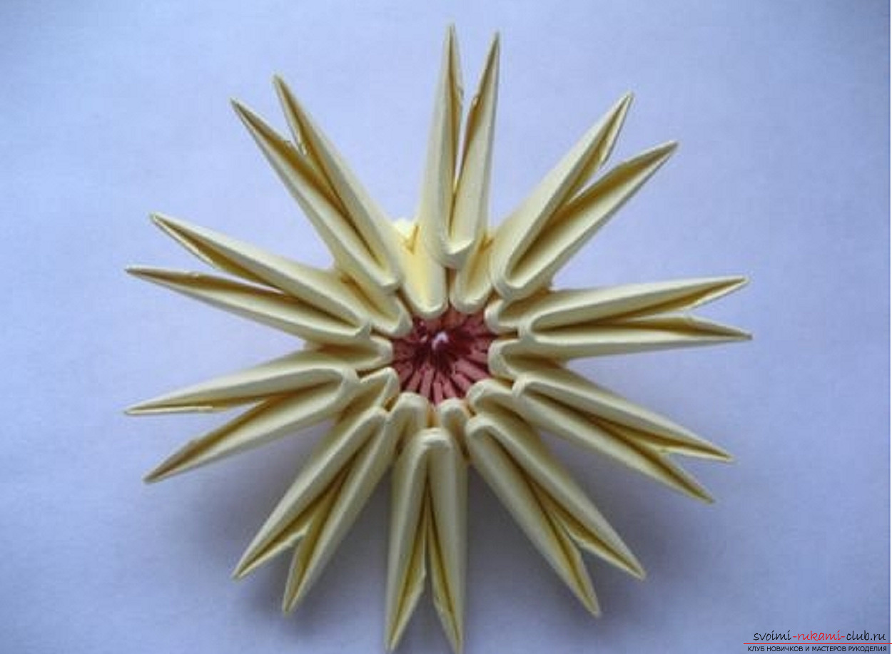 modular origami chamomile. Photo Number 18