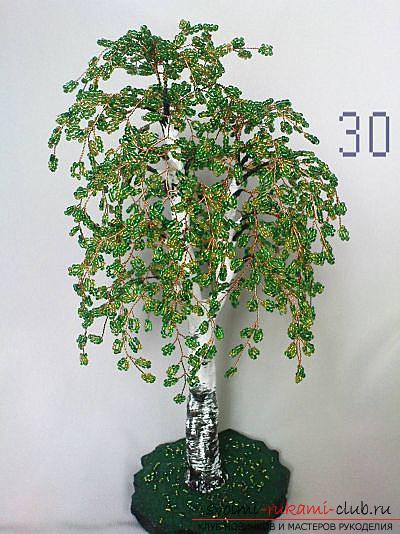 Bonsai from beads with own hands, how to weavetree of beads, schemes of weaving of trees from beads, birch from beads by own hands, herringbone-souvenir from beads, creation of albition from beads, advice and recommendations on performance of works .. Photo №15