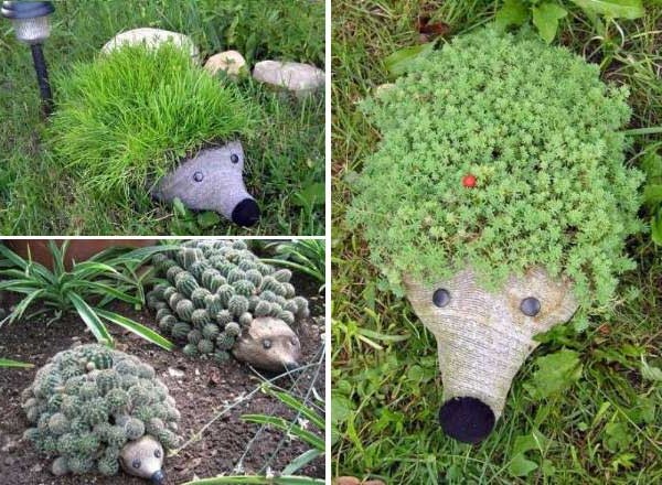 Hedgehog flower beds with needles from plants 
