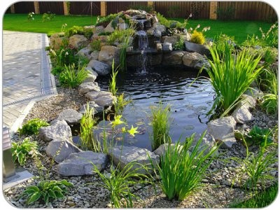 DIY pond with a waterfall