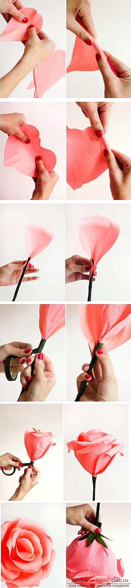 How to make original crafts for springWomen's Day - March 8, step-by-step photo creation frameworks for photos, topiary, crafts in the style of the suite design and a bouquet of huge roses from corrugated paper. Photo №13