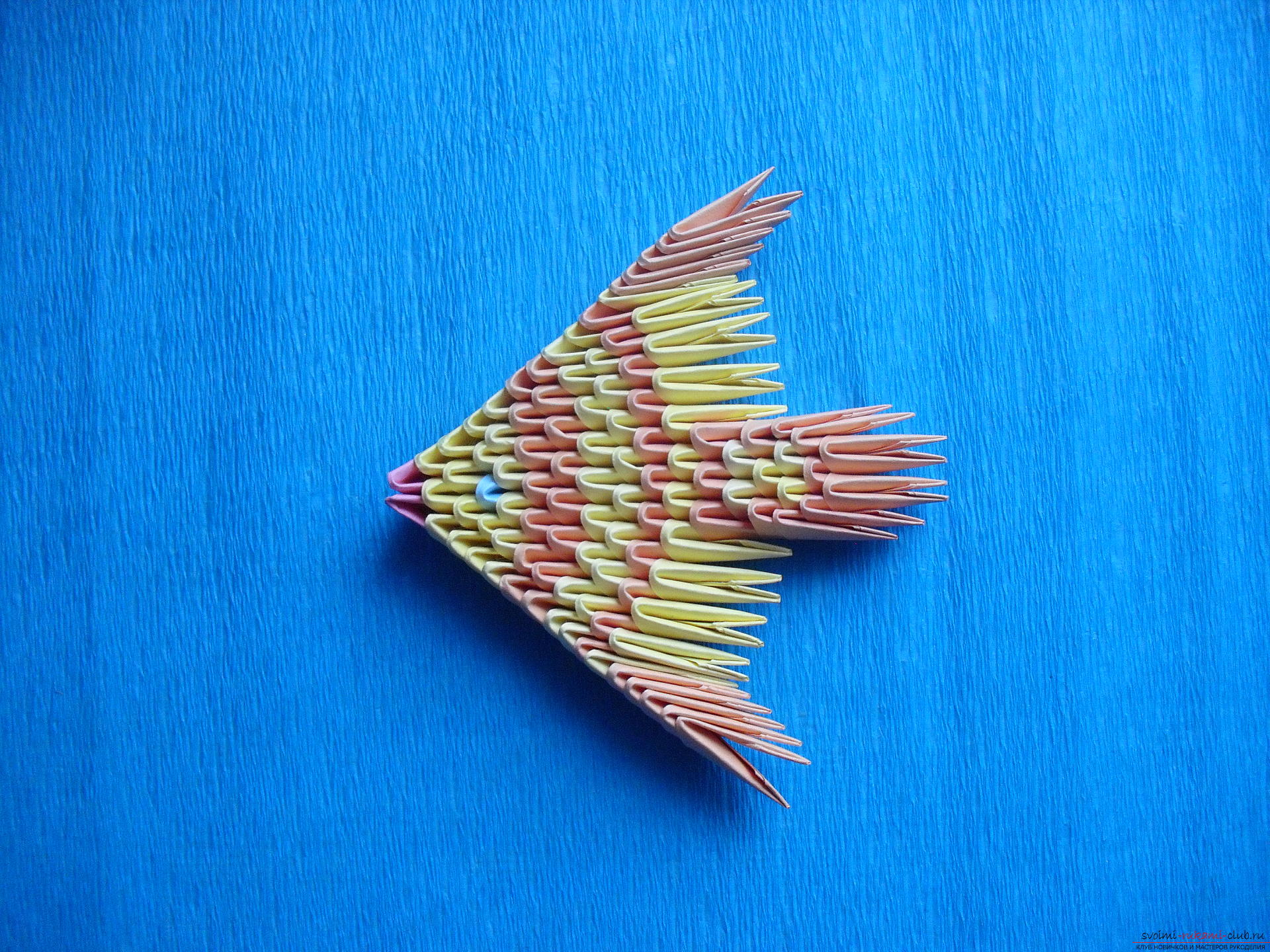 Deze masterclass leert hoe een vis te maken die verlangens vervult in de techniek van modulaire origami .. Foto # 1