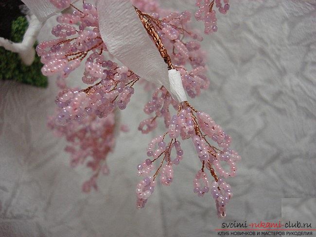 How to weave sakura from beads, detailed master classes with step-by-step photos and description .. Photo # 23