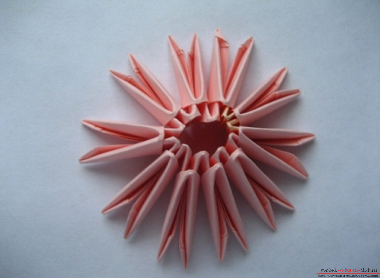 modular origami chamomile. Photo Number 14