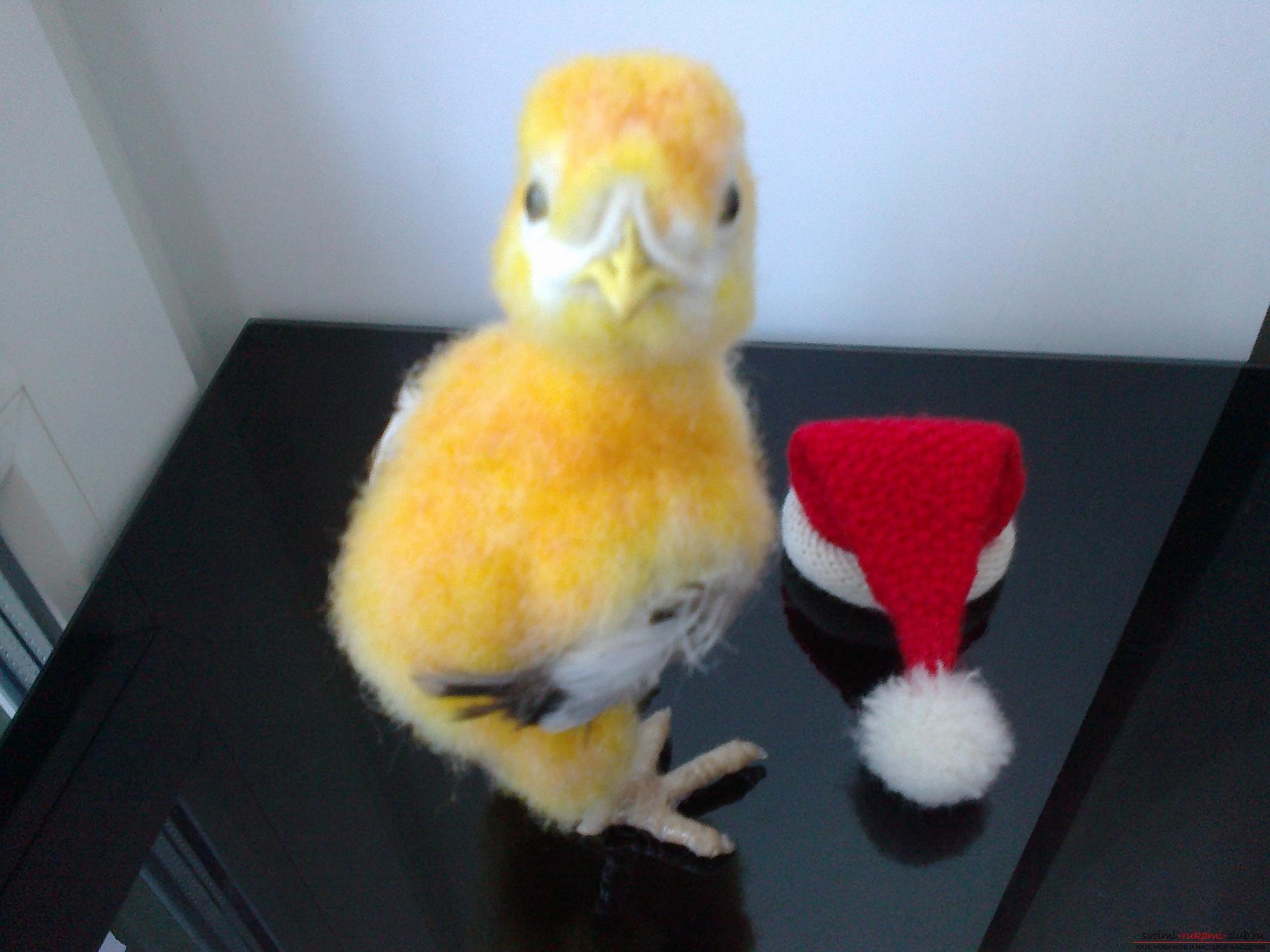 Description of the toy in the form of a chicken, made in the technique of dry felting. Photo №1