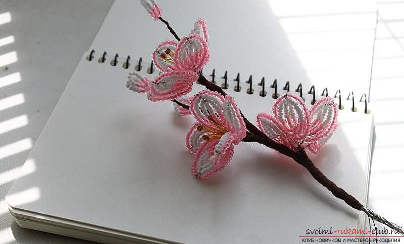 How to weave sakura from beads, detailed master classes with step-by-step photo and description .. Photo # 27