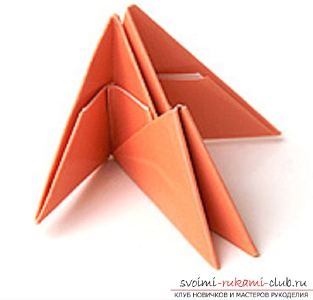 modularer Origami Schwan. Foto # 23