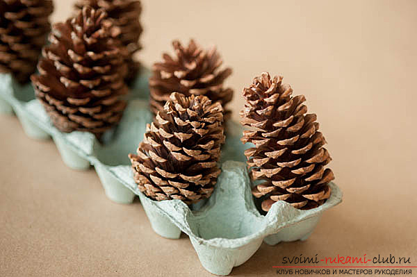 photoinstruction of creating a garland of cones to your hands. Picture №3