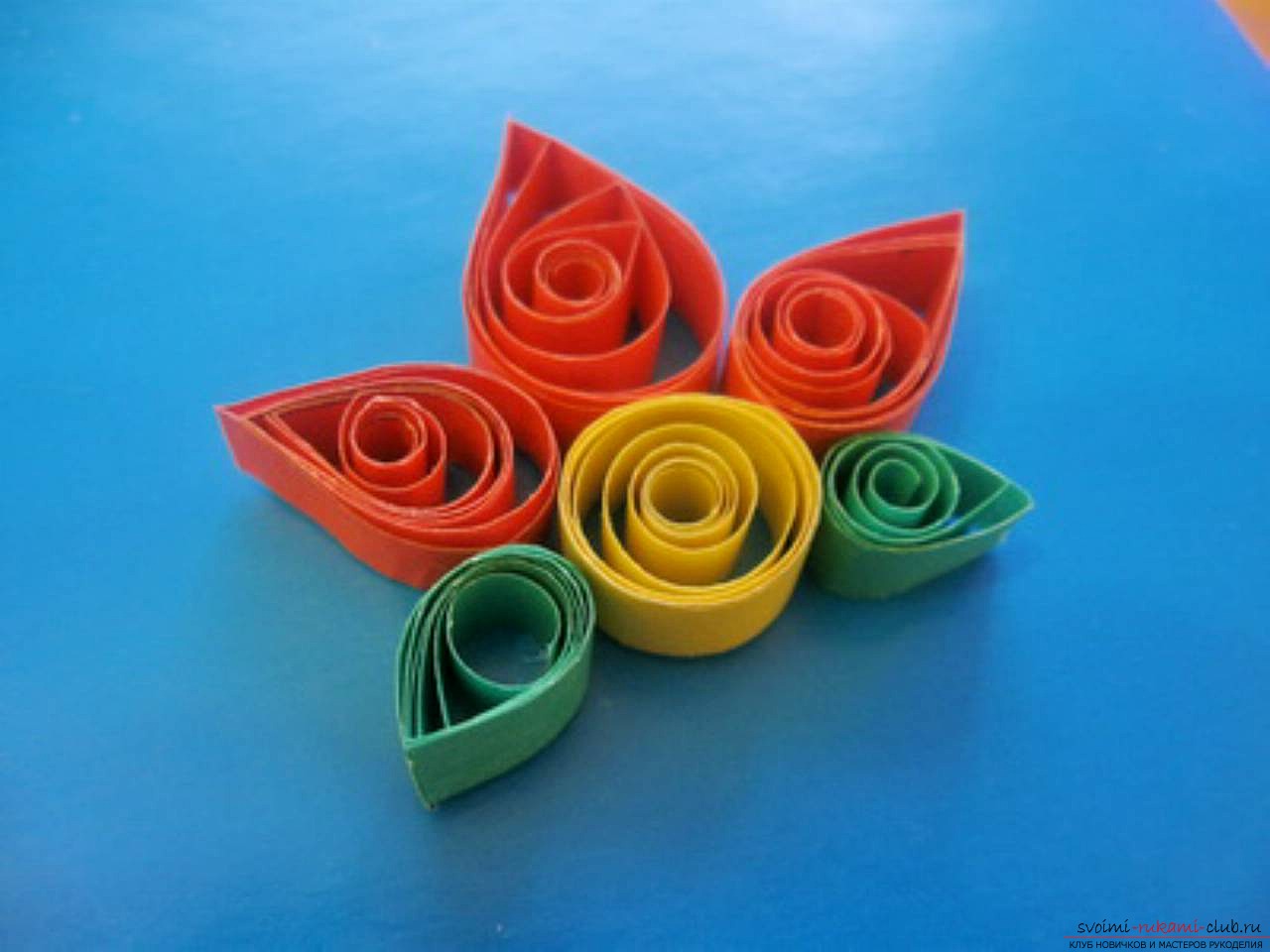 master class on quilling for beginners. Photo №5
